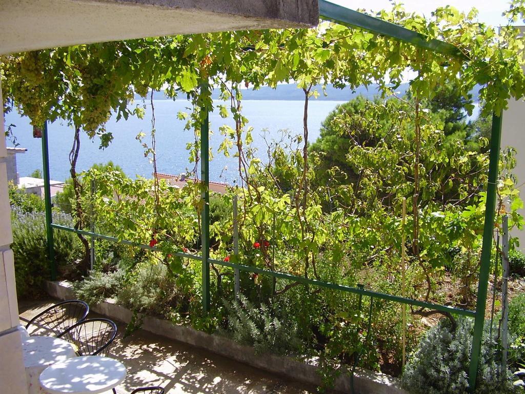 Petar Apartment Omiš Oda fotoğraf